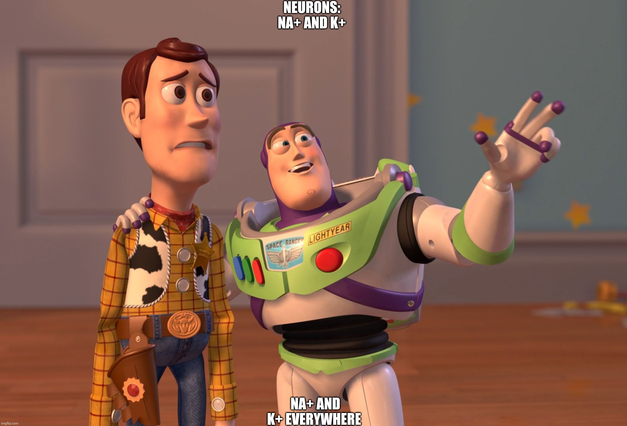 Toy Story giving the nerves | NEURONS:
NA+ AND K+; NA+ AND K+ EVERYWHERE | image tagged in memes,x x everywhere | made w/ Imgflip meme maker