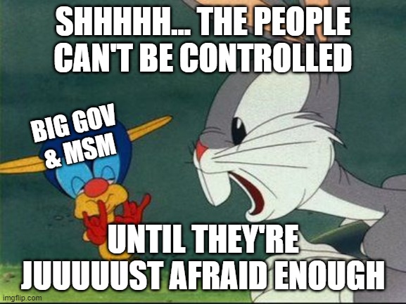 SHHHHH... THE PEOPLE CAN'T BE CONTROLLED UNTIL THEY'RE JUUUUUST AFRAID ENOUGH BIG GOV
& MSM | made w/ Imgflip meme maker