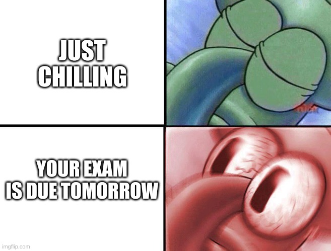 school | JUST CHILLING; YOUR EXAM IS DUE TOMORROW | image tagged in sleeping squidward | made w/ Imgflip meme maker