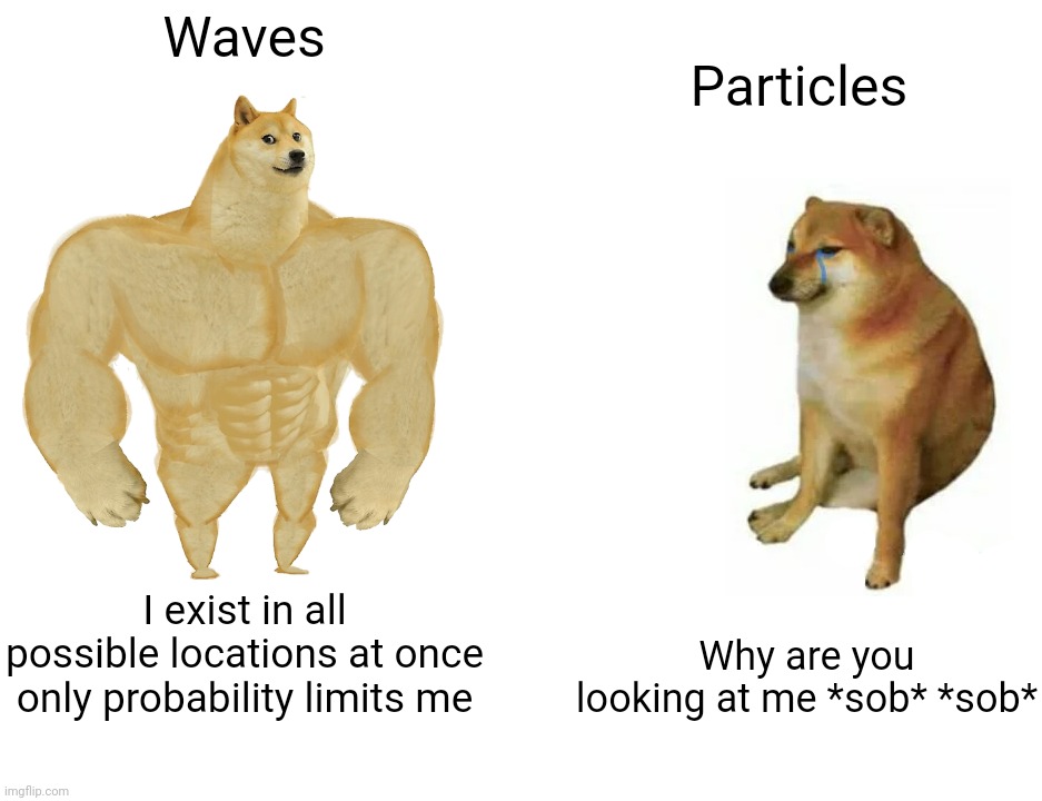 Copenhagen Doge | Waves; Particles; Why are you looking at me *sob* *sob*; I exist in all possible locations at once only probability limits me | image tagged in memes,buff doge vs cheems | made w/ Imgflip meme maker