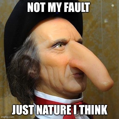 funny nose | NOT MY FAULT JUST NATURE I THINK | image tagged in funny nose | made w/ Imgflip meme maker