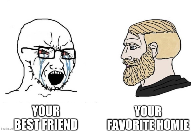 Friend vs homie |  YOUR FAVORITE HOMIE; YOUR BEST FRIEND | image tagged in virgin vs chad | made w/ Imgflip meme maker