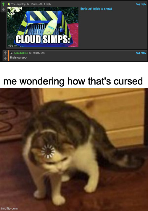 me wondering how that's cursed | image tagged in blank white template,loading cat | made w/ Imgflip meme maker