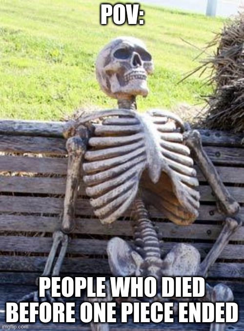 one piece meme | POV:; PEOPLE WHO DIED BEFORE ONE PIECE ENDED | image tagged in memes,waiting skeleton | made w/ Imgflip meme maker
