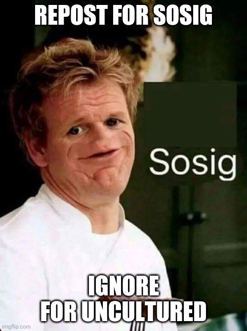 Will this catch on? If this gets 20 ups, I'll put it in politics | REPOST FOR SOSIG; IGNORE FOR UNCULTURED | image tagged in sosig | made w/ Imgflip meme maker