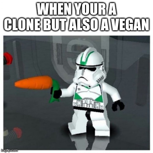 Clone Trooper Carrot | WHEN YOUR A CLONE BUT ALSO A VEGAN | image tagged in clone trooper carrot,star wars,lego | made w/ Imgflip meme maker
