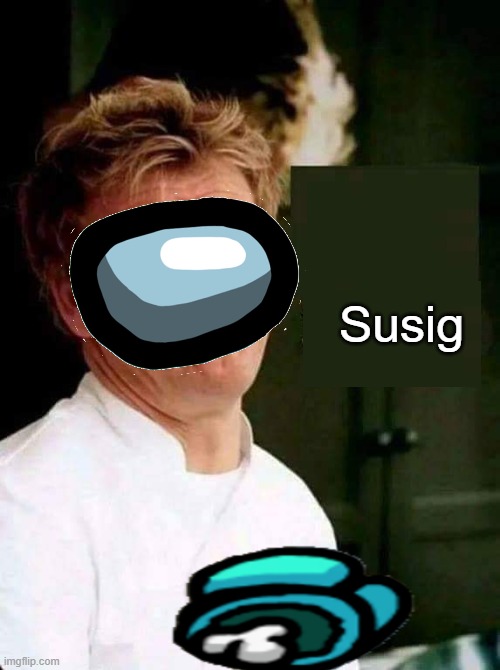 Sosig | Susig | image tagged in sosig | made w/ Imgflip meme maker