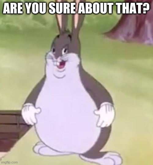 Big Chungus | ARE YOU SURE ABOUT THAT? | image tagged in big chungus | made w/ Imgflip meme maker