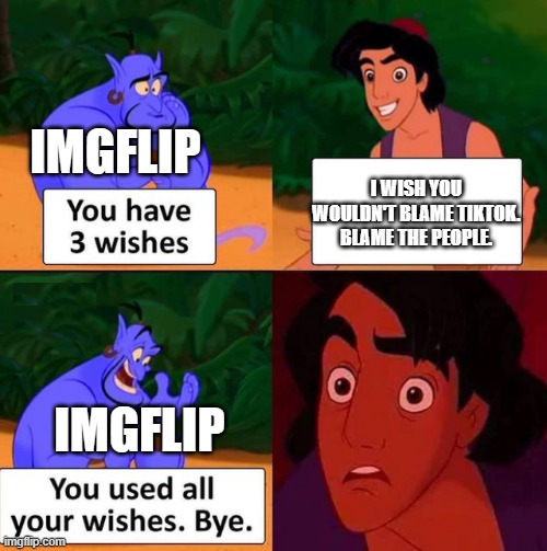 You used all your wishes | IMGFLIP; I WISH YOU WOULDN'T BLAME TIKTOK. BLAME THE PEOPLE. IMGFLIP | image tagged in you used all your wishes | made w/ Imgflip meme maker