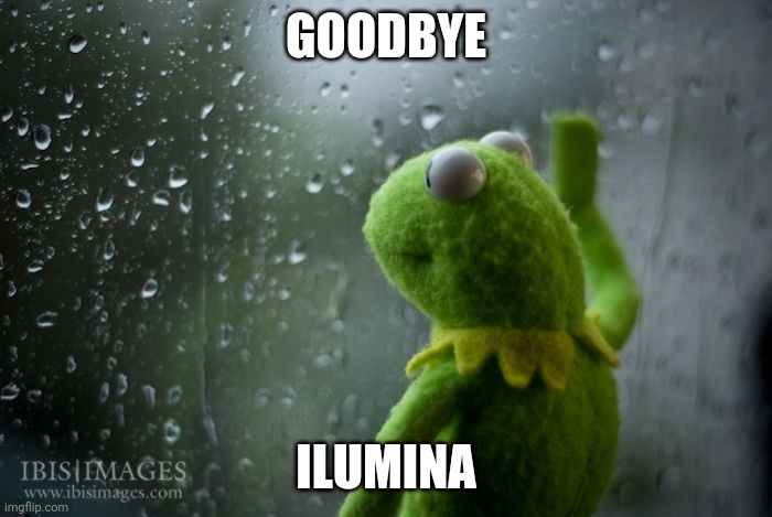 Goodbye you will always be remembered | GOODBYE; ILUMINA | image tagged in kermit window | made w/ Imgflip meme maker