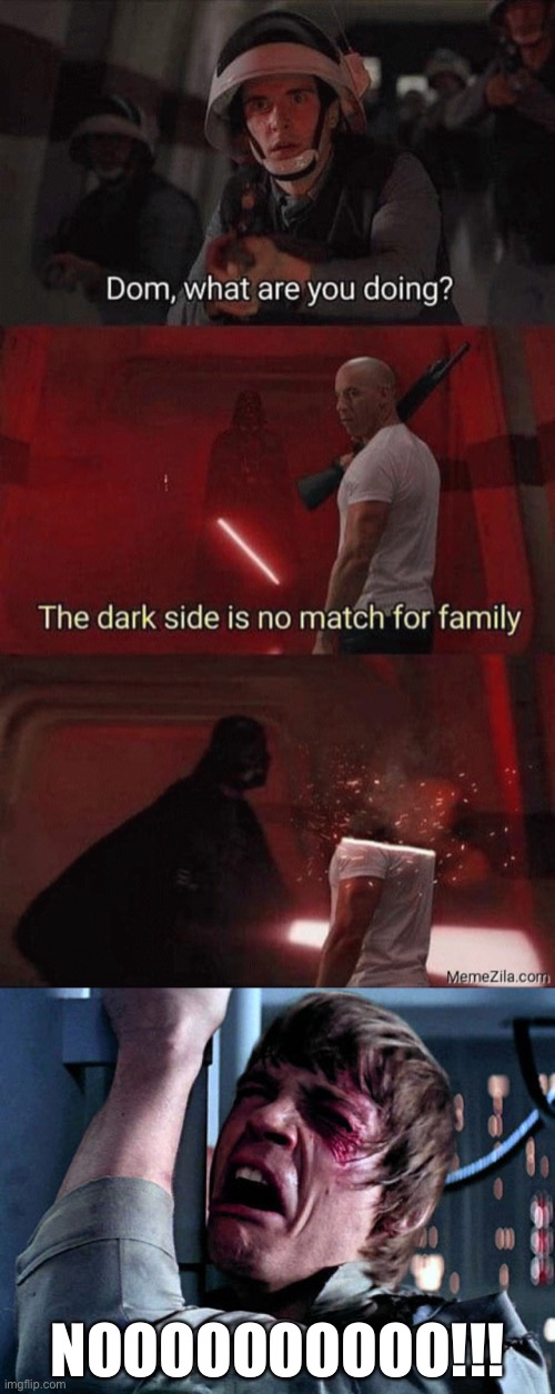 if star wars were realistic and not made for just kids | NOOOOOOOOOO!!! | image tagged in nooo,funny,reality,star wars,family,dark side | made w/ Imgflip meme maker