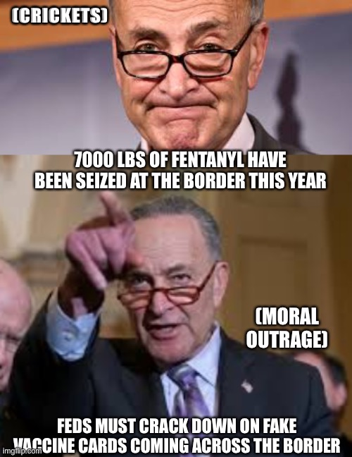 (CRICKETS); 7000 LBS OF FENTANYL HAVE BEEN SEIZED AT THE BORDER THIS YEAR; (MORAL OUTRAGE); FEDS MUST CRACK DOWN ON FAKE VACCINE CARDS COMING ACROSS THE BORDER | image tagged in chuck shumer,schmuck shumer | made w/ Imgflip meme maker