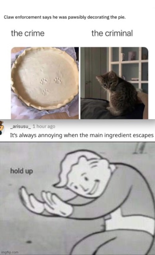 Catpie | image tagged in fallout hold up,dark humor,cats,funny,pie | made w/ Imgflip meme maker