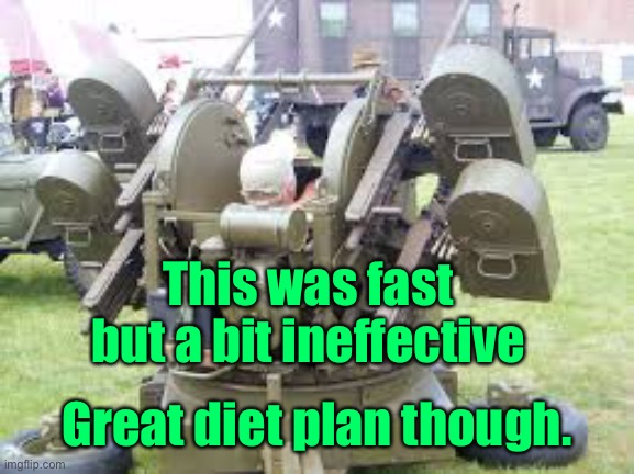 Quad mount 50 cal | This was fast but a bit ineffective Great diet plan though. | image tagged in quad mount 50 cal | made w/ Imgflip meme maker