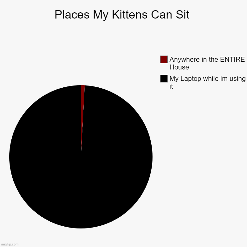 Cat's Sitting Arrangment | Places My Kittens Can Sit | My Laptop while im using it, Anywhere in the ENTIRE House | image tagged in charts,pie charts | made w/ Imgflip chart maker