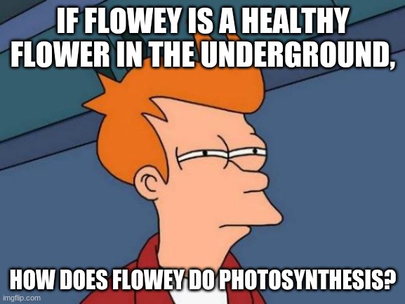 Futurama Fry Meme | IF FLOWEY IS A HEALTHY FLOWER IN THE UNDERGROUND, HOW DOES FLOWEY DO PHOTOSYNTHESIS? | image tagged in memes,futurama fry | made w/ Imgflip meme maker