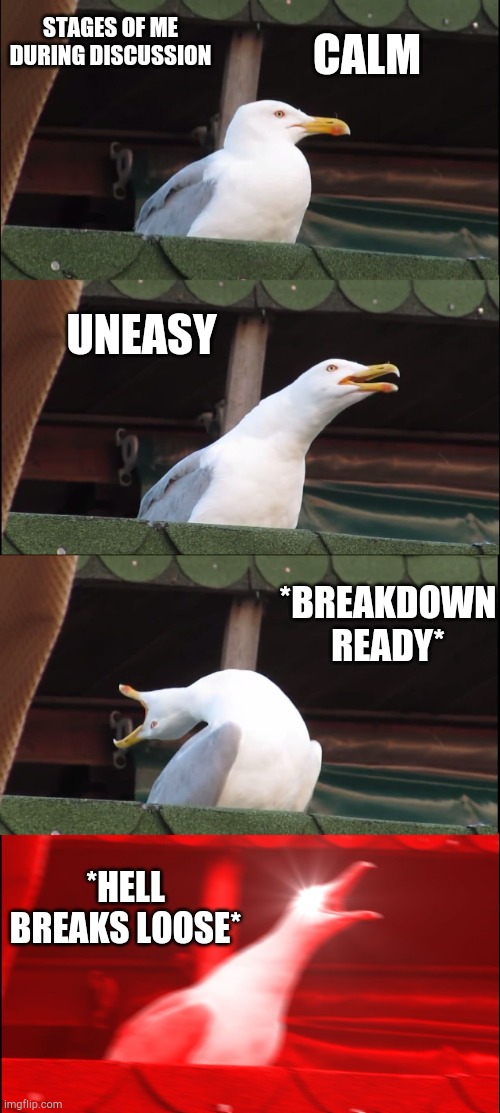 Inhaling Seagull | STAGES OF ME DURING DISCUSSION; CALM; UNEASY; *BREAKDOWN READY*; *HELL BREAKS LOOSE* | image tagged in memes,inhaling seagull | made w/ Imgflip meme maker