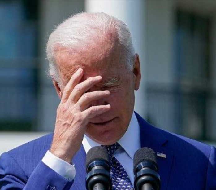 High Quality Joe face palm Blank Meme Template