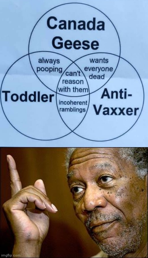 Venn diagram of annoying | image tagged in morgan freeman,covid-19,antivax,geese,republicans | made w/ Imgflip meme maker