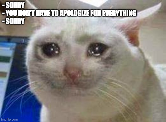 Sorry | - SORRY
- YOU DON'T HAVE TO APOLOGIZE FOR EVERYTHING
- SORRY | image tagged in cat crying | made w/ Imgflip meme maker