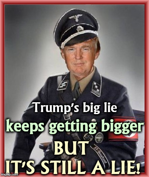 He lost. | Trump's big lie; keeps getting bigger; BUT 
IT'S STILL A LIE! | image tagged in trump nazi officer - never an office in the usa,trump,big,lie,nazi,dictator | made w/ Imgflip meme maker