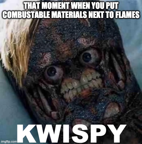 KWISPY | THAT MOMENT WHEN YOU PUT COMBUSTABLE MATERIALS NEXT TO FLAMES | image tagged in kwispy | made w/ Imgflip meme maker