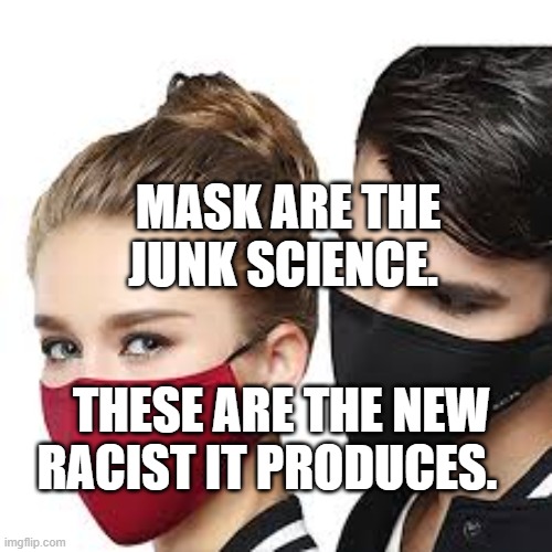 Mask Couple | MASK ARE THE JUNK SCIENCE. THESE ARE THE NEW RACIST IT PRODUCES. | image tagged in mask couple | made w/ Imgflip meme maker