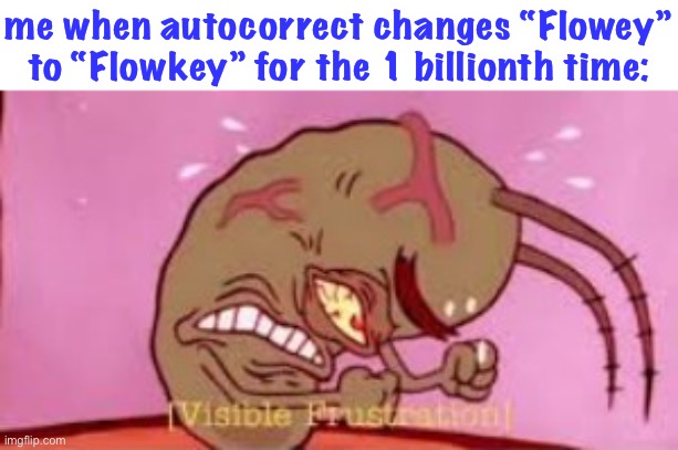 this happens so much now | me when autocorrect changes “Flowey” to “Flowkey” for the 1 billionth time: | image tagged in visible frustration,flowey,autocorrect,undertale | made w/ Imgflip meme maker