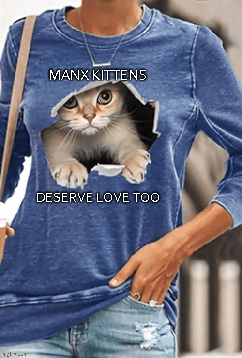 Manx Kitten | MANX KITTENS; DESERVE LOVE TOO | image tagged in mom can we have,cute kittens | made w/ Imgflip meme maker