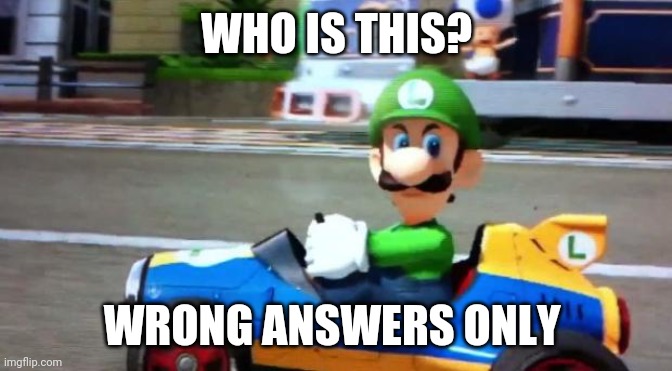 Reee | WHO IS THIS? WRONG ANSWERS ONLY | image tagged in luigi death stare | made w/ Imgflip meme maker