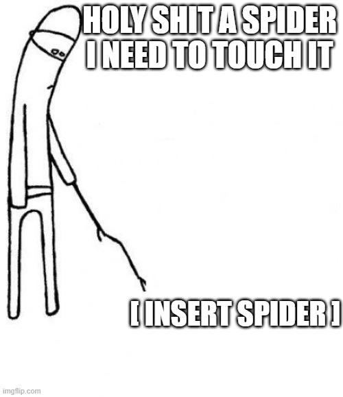 c'mon do something | HOLY SHIT A SPIDER I NEED TO TOUCH IT; [ INSERT SPIDER ] | image tagged in c'mon do something | made w/ Imgflip meme maker