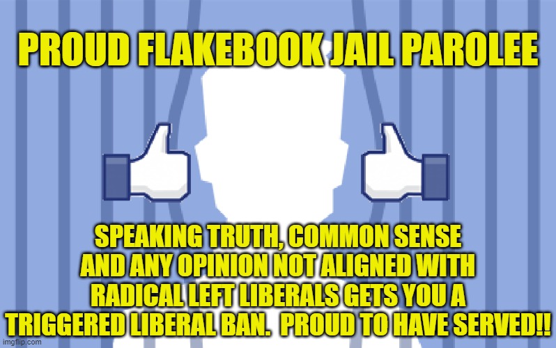 Proud Flakebook Jail Parolee | PROUD FLAKEBOOK JAIL PAROLEE; SPEAKING TRUTH, COMMON SENSE AND ANY OPINION NOT ALIGNED WITH RADICAL LEFT LIBERALS GETS YOU A TRIGGERED LIBERAL BAN.  PROUD TO HAVE SERVED!! | image tagged in political meme,flakebook,facebook jail,fascist facebook,facebook censorship,liberal intolerance | made w/ Imgflip meme maker