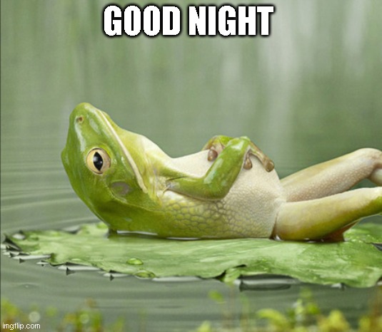 FROG GOOD NIGHT | GOOD NIGHT | image tagged in frog good night | made w/ Imgflip meme maker