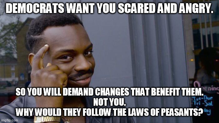 Scared and angry | DEMOCRATS WANT YOU SCARED AND ANGRY. SO YOU WILL DEMAND CHANGES THAT BENEFIT THEM.
NOT YOU.
WHY WOULD THEY FOLLOW THE LAWS OF PEASANTS? | image tagged in politics,democrats | made w/ Imgflip meme maker