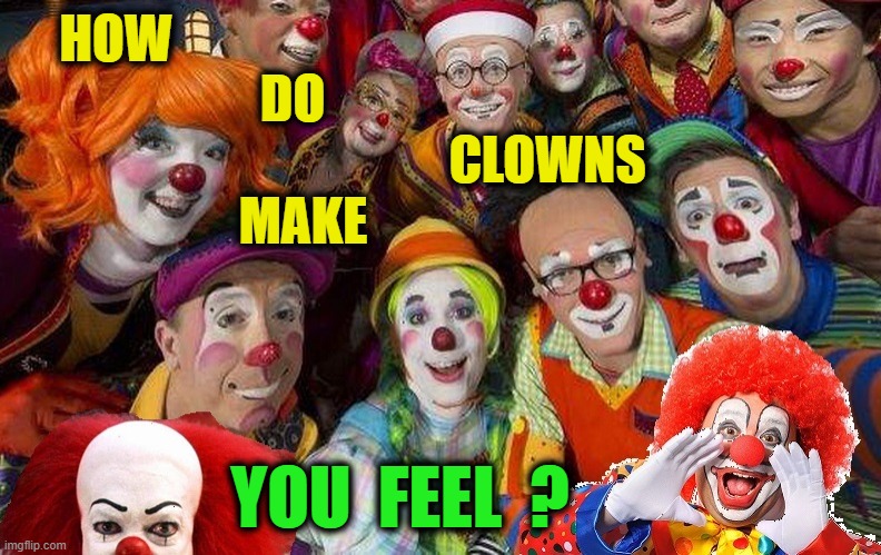 Feelin a clown | HOW                                                              
DO                            
                     CLOWNS
MAKE; YOU  FEEL  ? | image tagged in funny | made w/ Imgflip meme maker