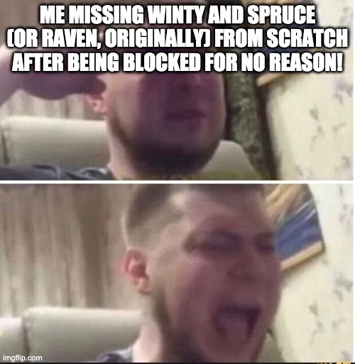 :'( I hope winty and spruce actually come... you cant calm me down now, btw... | ME MISSING WINTY AND SPRUCE (OR RAVEN, ORIGINALLY) FROM SCRATCH AFTER BEING BLOCKED FOR NO REASON! | image tagged in crying salute | made w/ Imgflip meme maker