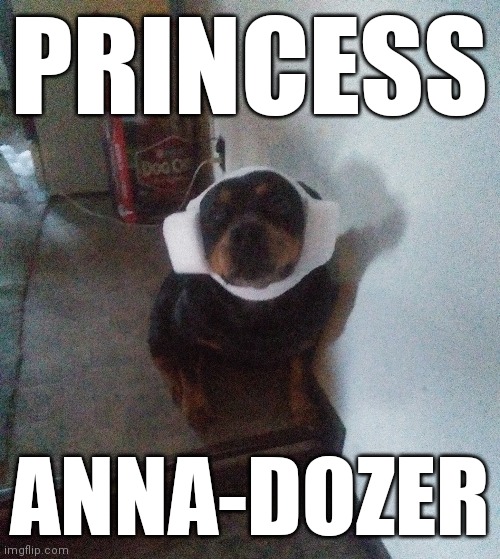 Princess Anna dozer | PRINCESS; ANNA-DOZER | image tagged in star wars | made w/ Imgflip meme maker