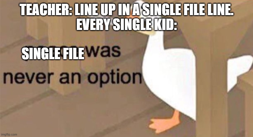 Relatable | TEACHER: LINE UP IN A SINGLE FILE LINE.
EVERY SINGLE KID:; SINGLE FILE | image tagged in untitled goose peace was never an option,memes,funny,school,gifs,not actually a gif | made w/ Imgflip meme maker