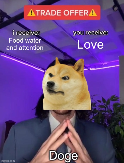 Trade Offer | Love; Food water and attention; Doge | image tagged in trade offer | made w/ Imgflip meme maker