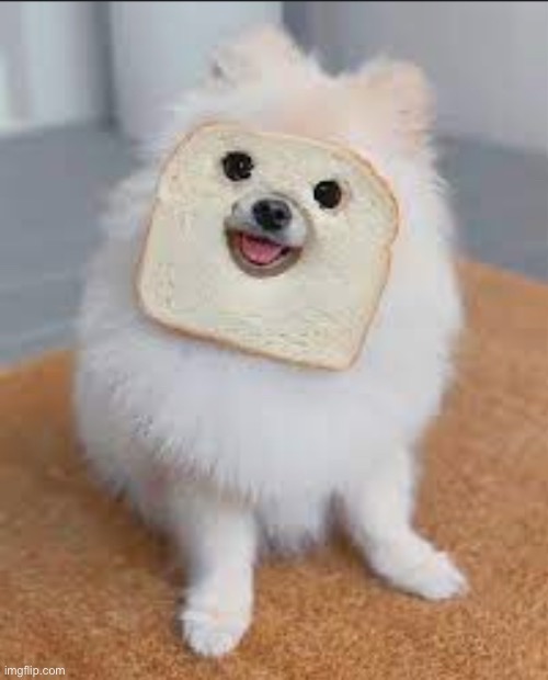 Dog Bread | made w/ Imgflip meme maker
