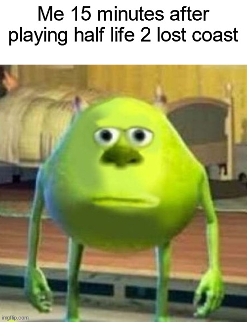 Monsters Inc Face Swap | Me 15 minutes after playing half life 2 lost coast | image tagged in half life 2,memes,gifs,demotivationals,not a gif or demotivational | made w/ Imgflip meme maker