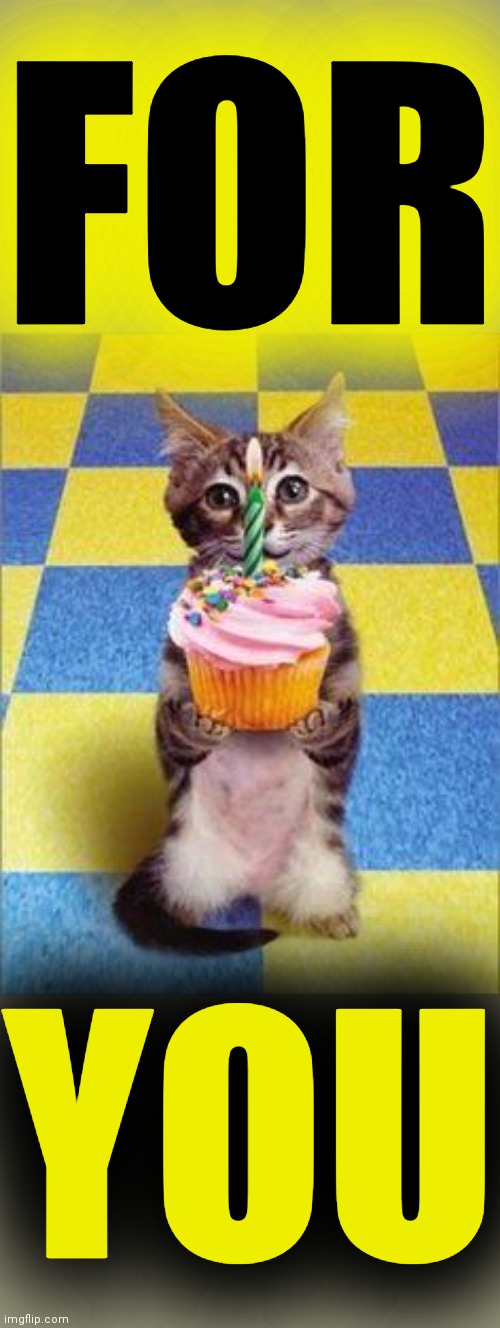 Happy Birthday Cat | FOR YOU | image tagged in happy birthday cat | made w/ Imgflip meme maker