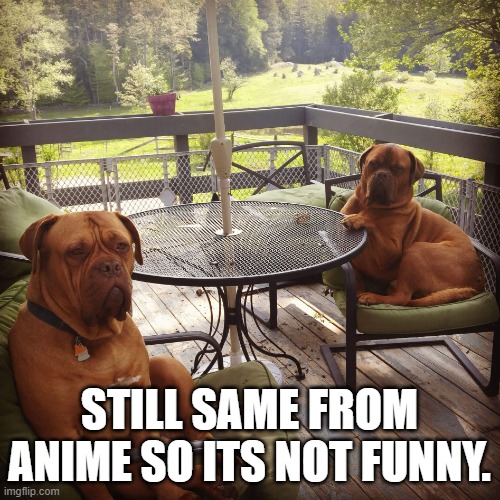 not funny dogs | STILL SAME FROM ANIME SO ITS NOT FUNNY. | image tagged in not funny dogs | made w/ Imgflip meme maker
