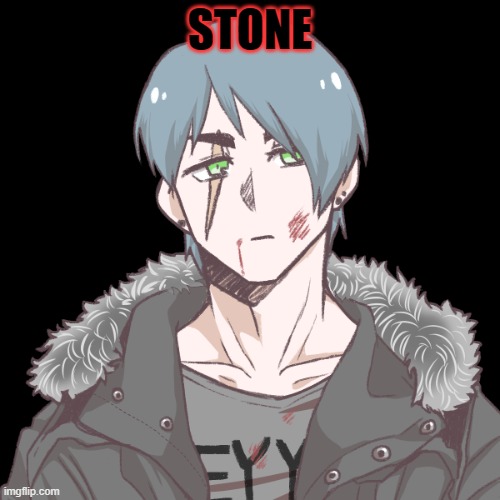 rp with my new oc i guess | STONE | image tagged in image tags | made w/ Imgflip meme maker