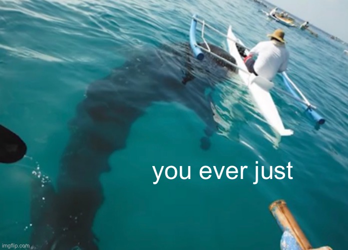 Fut | you ever just | image tagged in funny | made w/ Imgflip meme maker