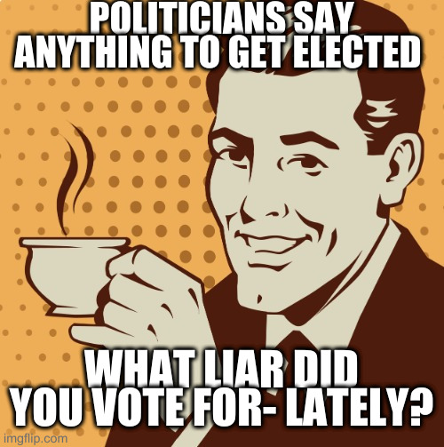 Mug approval | POLITICIANS SAY ANYTHING TO GET ELECTED; WHAT LIAR DID YOU VOTE FOR- LATELY? | image tagged in mug approval | made w/ Imgflip meme maker