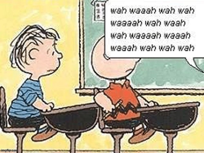 Wah | image tagged in charlie brown teacher | made w/ Imgflip meme maker