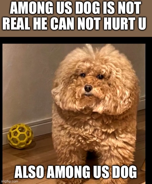 Sus dog | AMONG US DOG IS NOT REAL HE CAN NOT HURT U; ALSO AMONG US DOG | image tagged in among us dog sus,sus,among us,dogs,cringe,strange | made w/ Imgflip meme maker