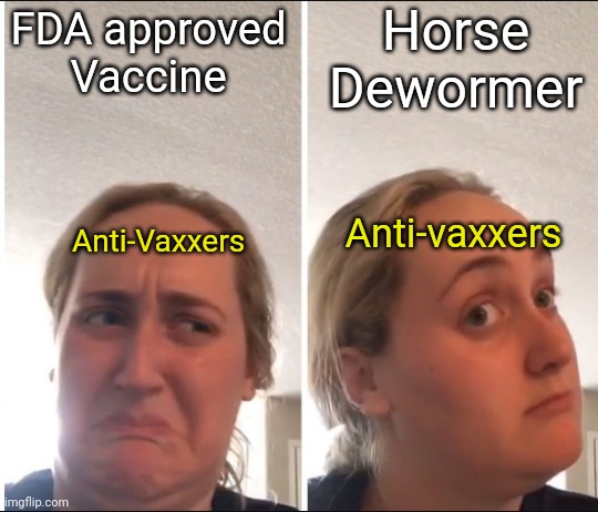 Why are people so dumb | Horse Dewormer; FDA approved Vaccine; Anti-vaxxers; Anti-Vaxxers | image tagged in kombucha girl | made w/ Imgflip meme maker