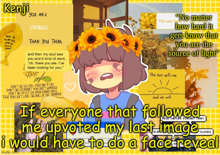 Frisk | If everyone that followed me upvoted my last image i would have to do a face reveal | image tagged in frisk | made w/ Imgflip meme maker